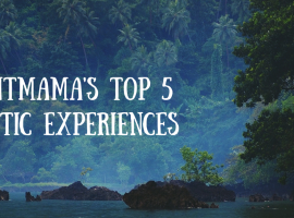 Most_exotic_experiences
