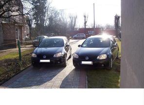 Medium_picture_058