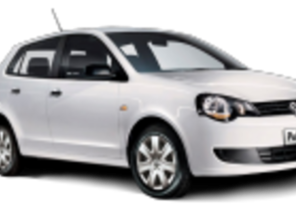 Medium_n_vivo_std_hatch_1055_x_500