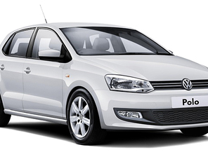 Medium_polo_20stor