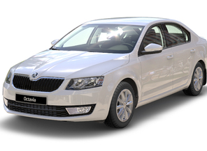 Medium_octavia_202014
