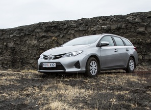 Medium_lava.litil._20auris