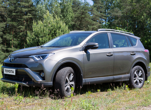 Medium_rav4_2_20copy