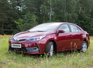 Medium_corolla_20copy
