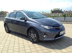 Medium_big_auris_20_1_