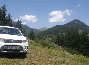 Medium_vitara018