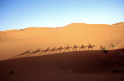 Slider_morocco-merzouga-desert