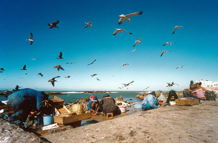 Slider_morocco-essaouira